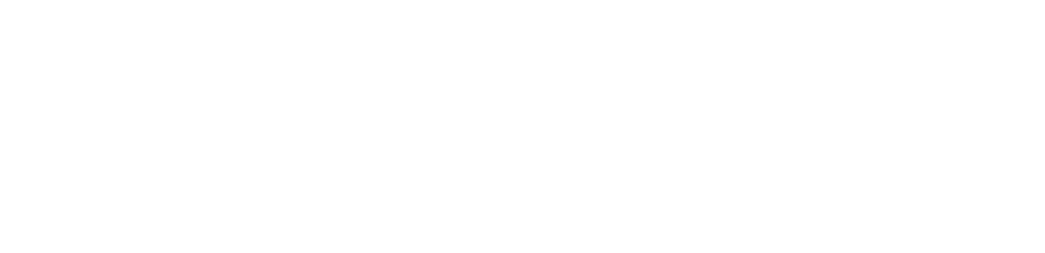 What? NANIWA-BOLT